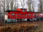 NP 10415